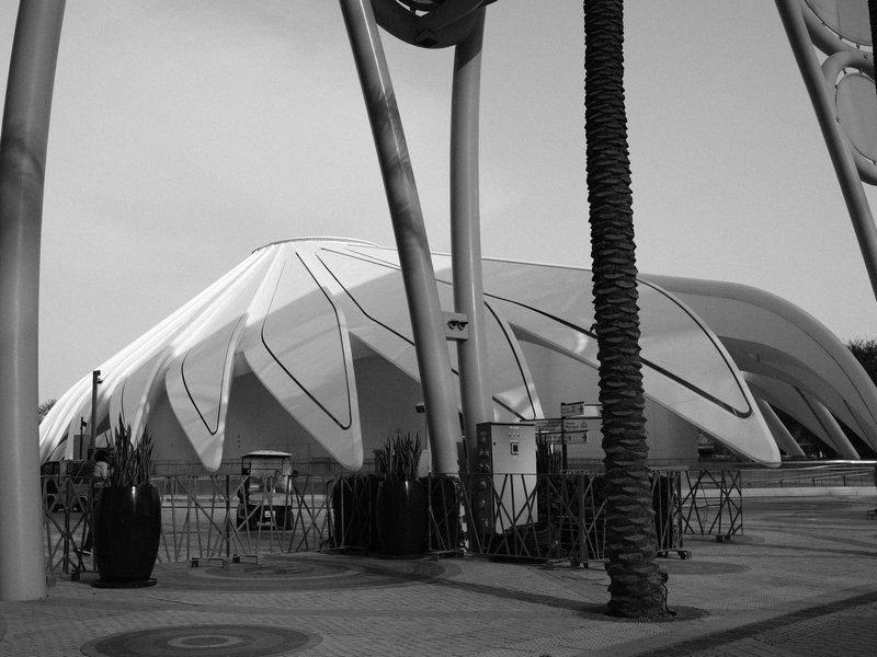 A modern architectural structure with a unique design, framed by palm trees and metal supports.