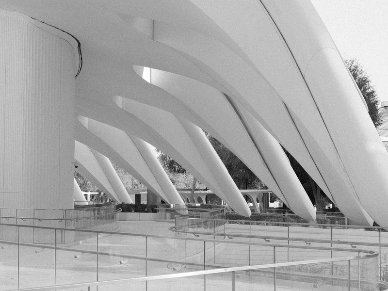 Abstract view of white architectural supports with smooth curves and lines against a minimalist backdrop.