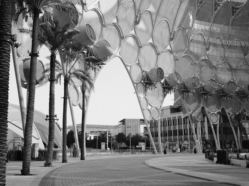 Modern architectural structure with circular elements and palm trees in a city setting.