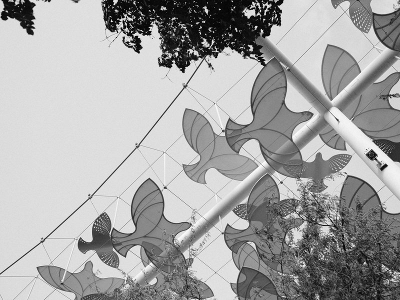 Artistic installation featuring large butterfly shapes against a bright sky with tree silhouettes.