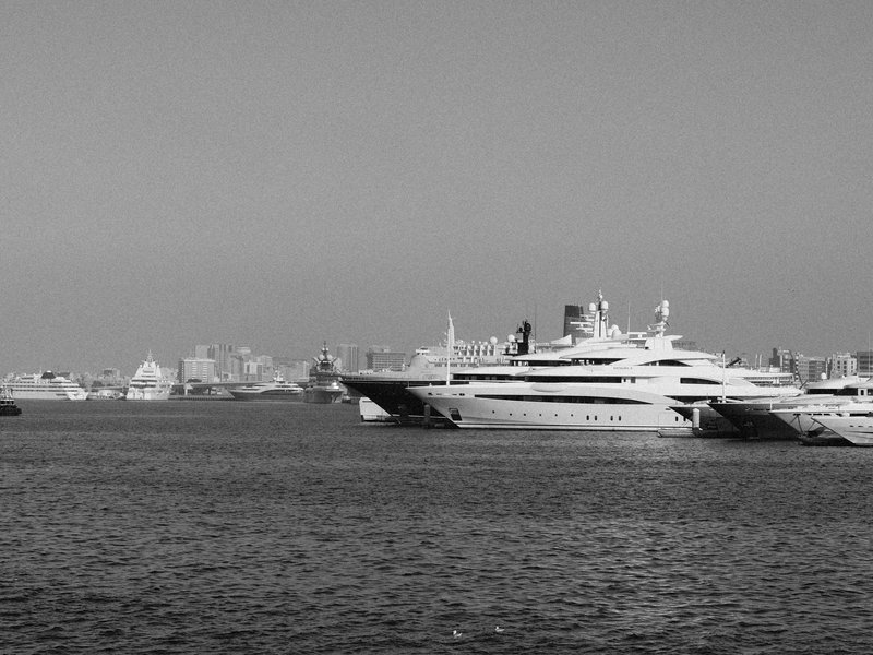 Black and white image of luxury yachts docked in a harbor with a city skyline in the background.