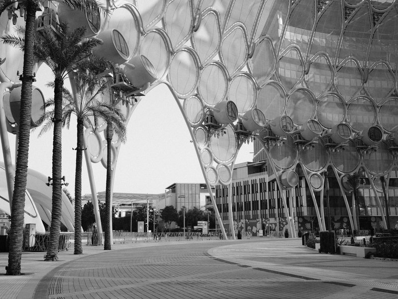 Modern architectural structure with palm trees and a curved design in black and white.