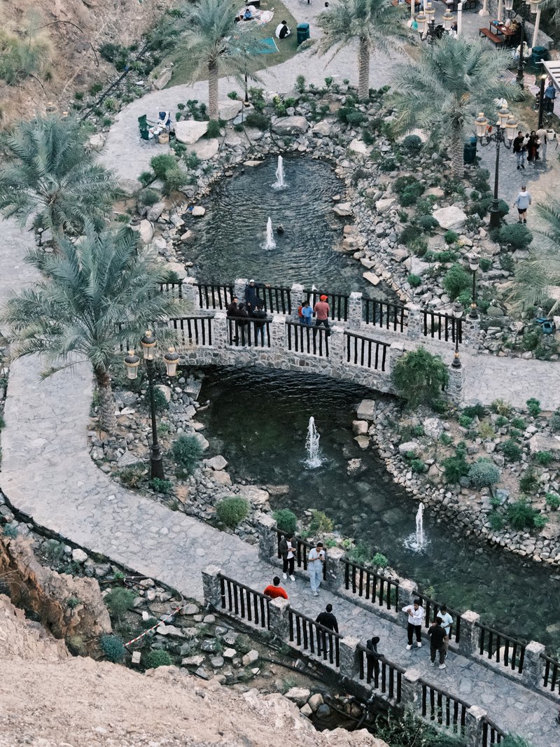 A scenic view of a landscaped area with a pond, bridges, and palm trees, bustling with visitors.
