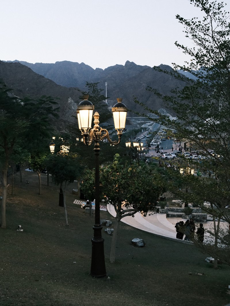 A scenic view of a park with a vintage lamp post, mountains in the background, and people walking.