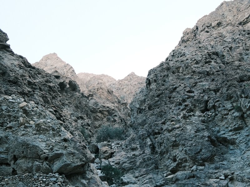 Rocky canyon landscape with steep walls and distant mountains under a clear sky.