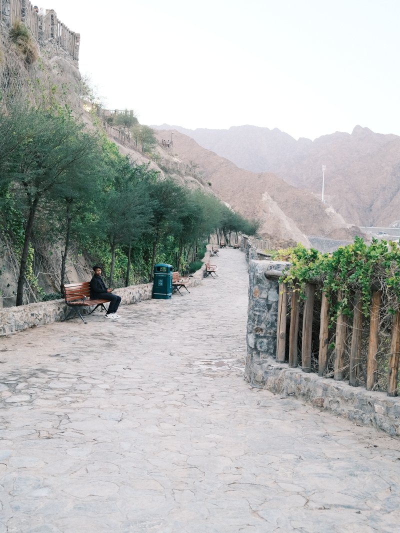 A serene pathway lined with trees and mountains in the background, with a person sitting on a bench.