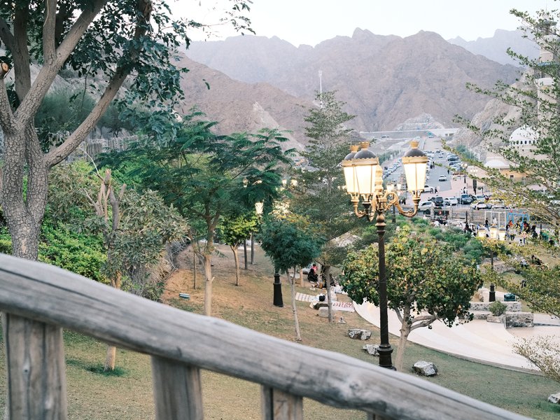 A scenic view of a park with trees, a wooden railing, and distant mountains under soft lighting.