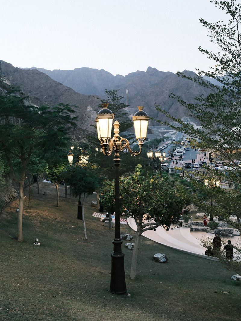 A vintage street lamp in a park with mountains in the background during twilight.