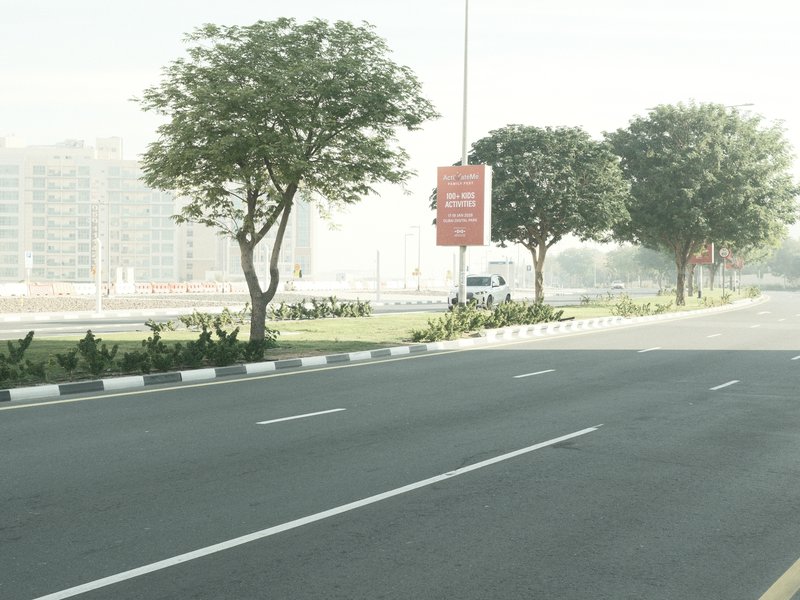 A quiet road lined with trees and buildings in the background, shrouded in a light mist.