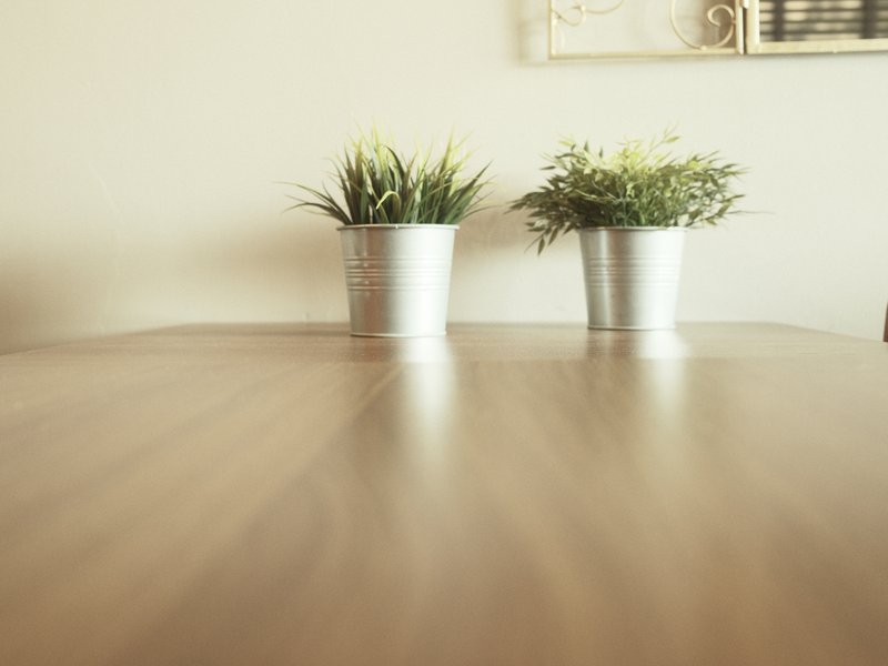 Two small potted plants on a wooden table with a soft background.