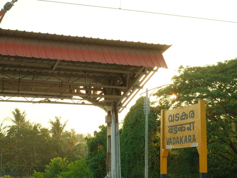 A train station sign in a rural setting with palm trees and a warm sunset glow.