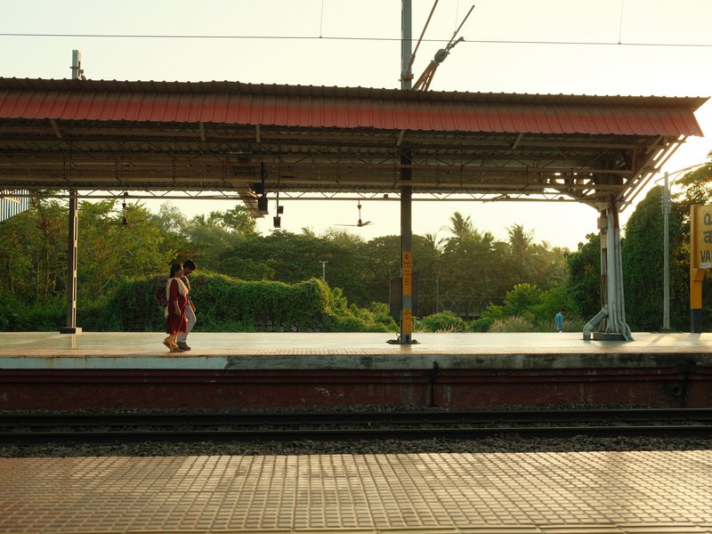 A woman stands alone on a train platform during golden hour, surrounded by lush greenery.