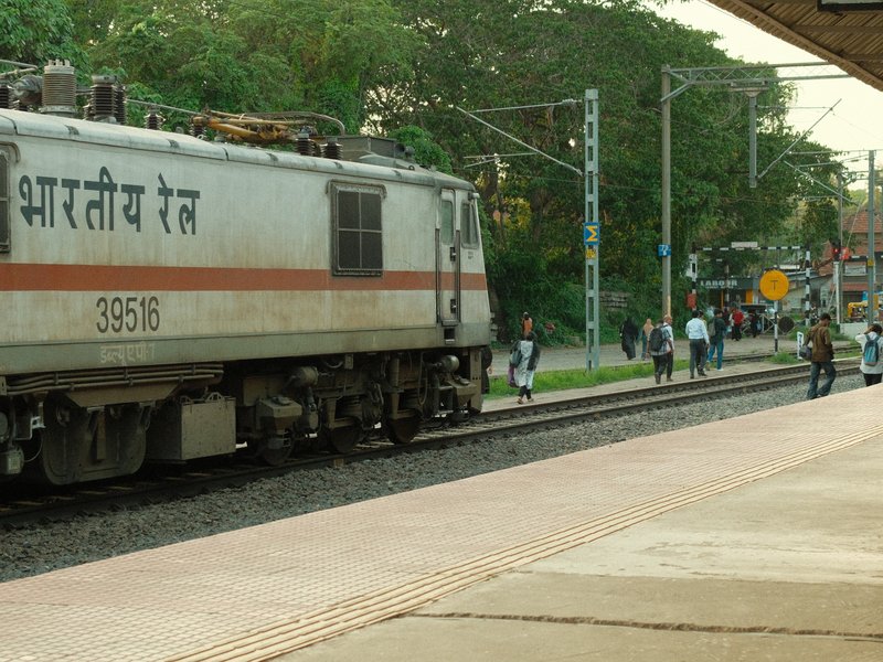 A train at a railway station with passengers waiting on the platform amidst greenery.
