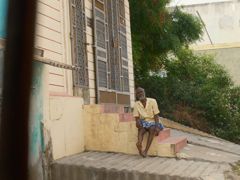 An elderly man sitting on steps outside a building, surrounded by greenery.