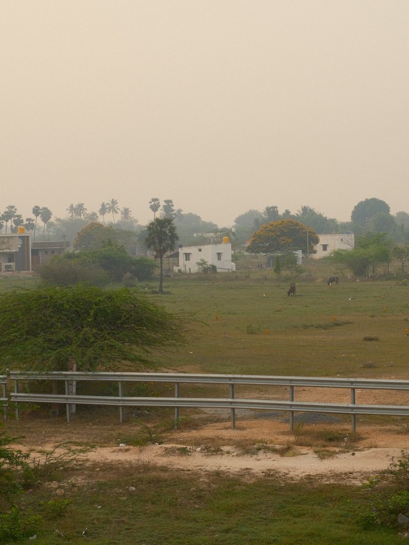 A hazy landscape featuring distant houses and sparse vegetation under a muted sky.