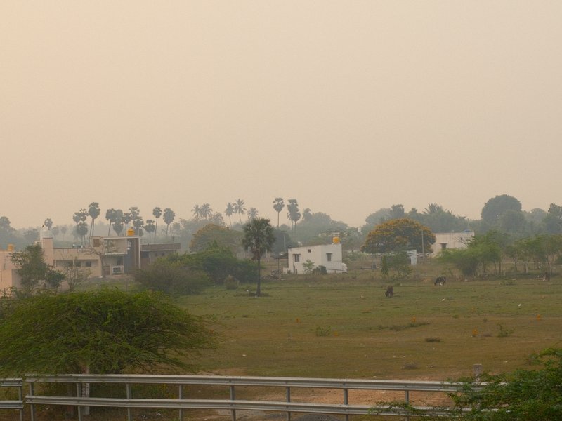 A hazy landscape featuring distant houses and palm trees under a soft orange sky.