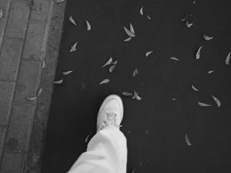 A close-up of a white sneaker stepping on a dark pavement scattered with fallen leaves.