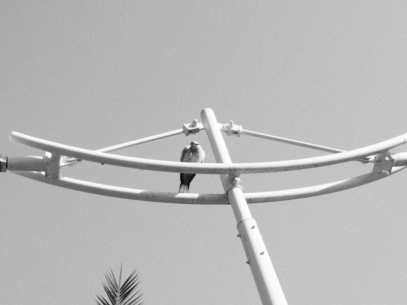 A bird perched on a white metal structure against a clear sky.