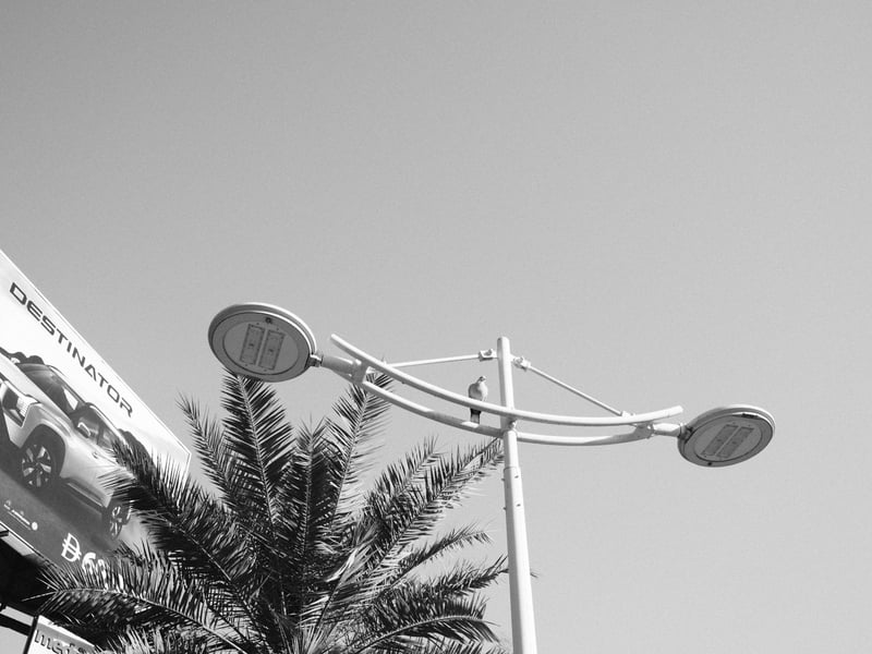 A street lamp with two lights against a clear sky, with a palm tree and a billboard in the background.