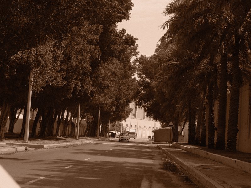 A sepia-toned street lined with trees leading to a distant building.