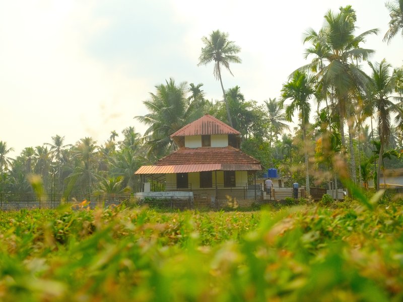 A traditional house surrounded by lush greenery and palm trees under a cloudy sky.