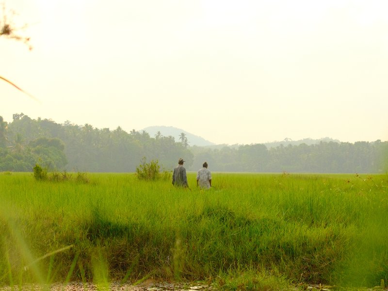 Two people walking through a lush green field with distant hills under a hazy sky.