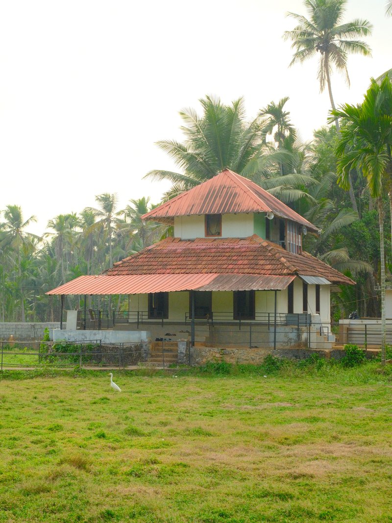 A traditional house with a red roof surrounded by palm trees and a grassy field.