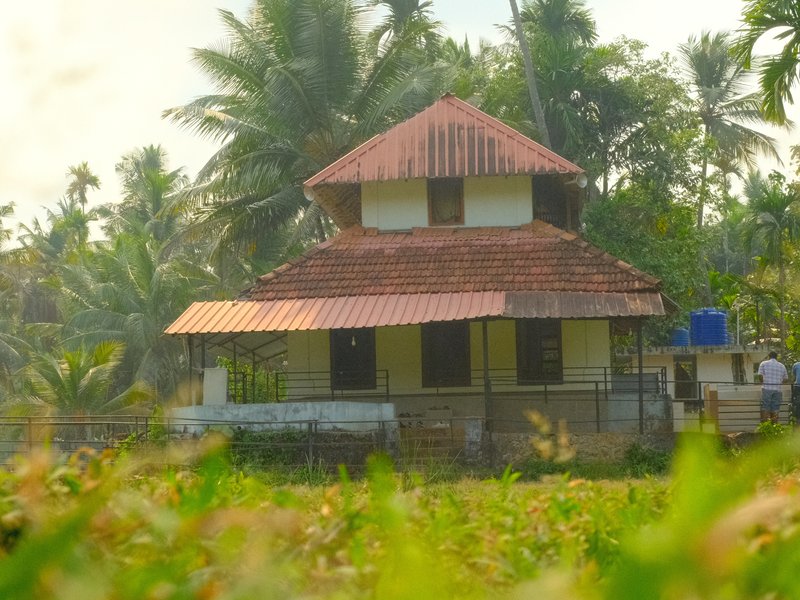 A traditional house with a red-tiled roof surrounded by lush greenery and palm trees.