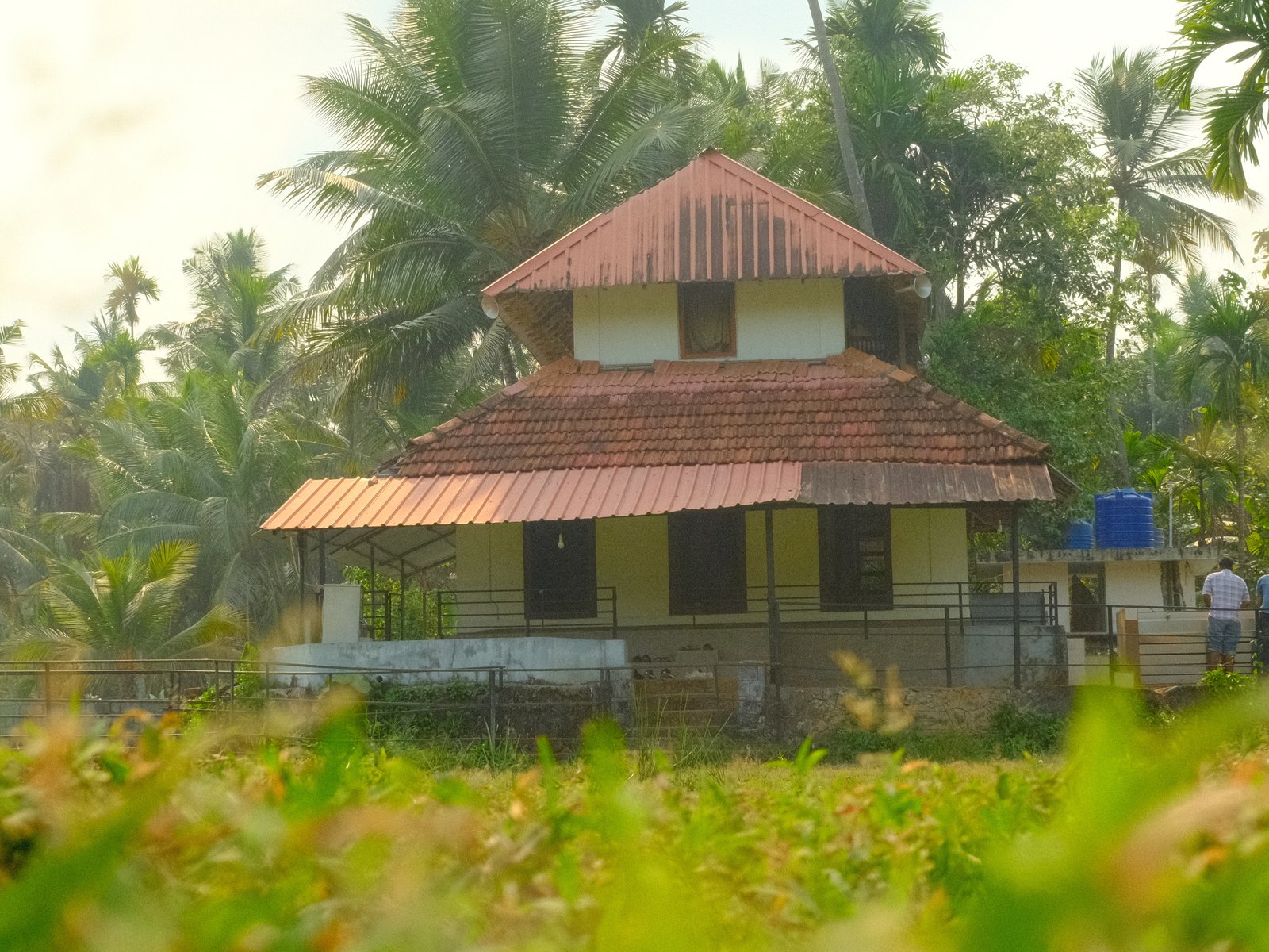 A traditional house with a red-tiled roof surrounded by lush greenery and palm trees.