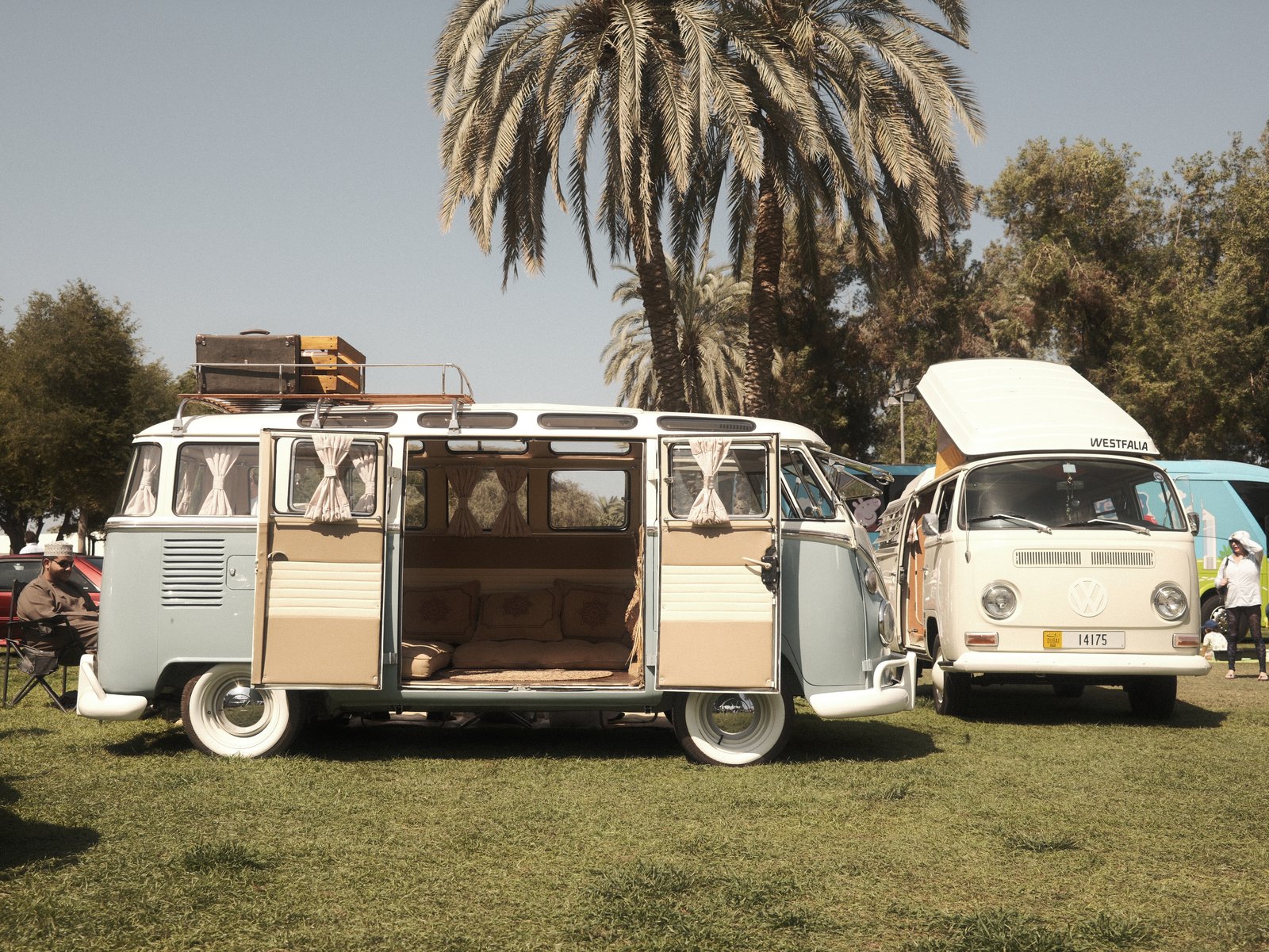 Two vintage Volkswagen vans parked on green grass under palm trees, with one van's door open.