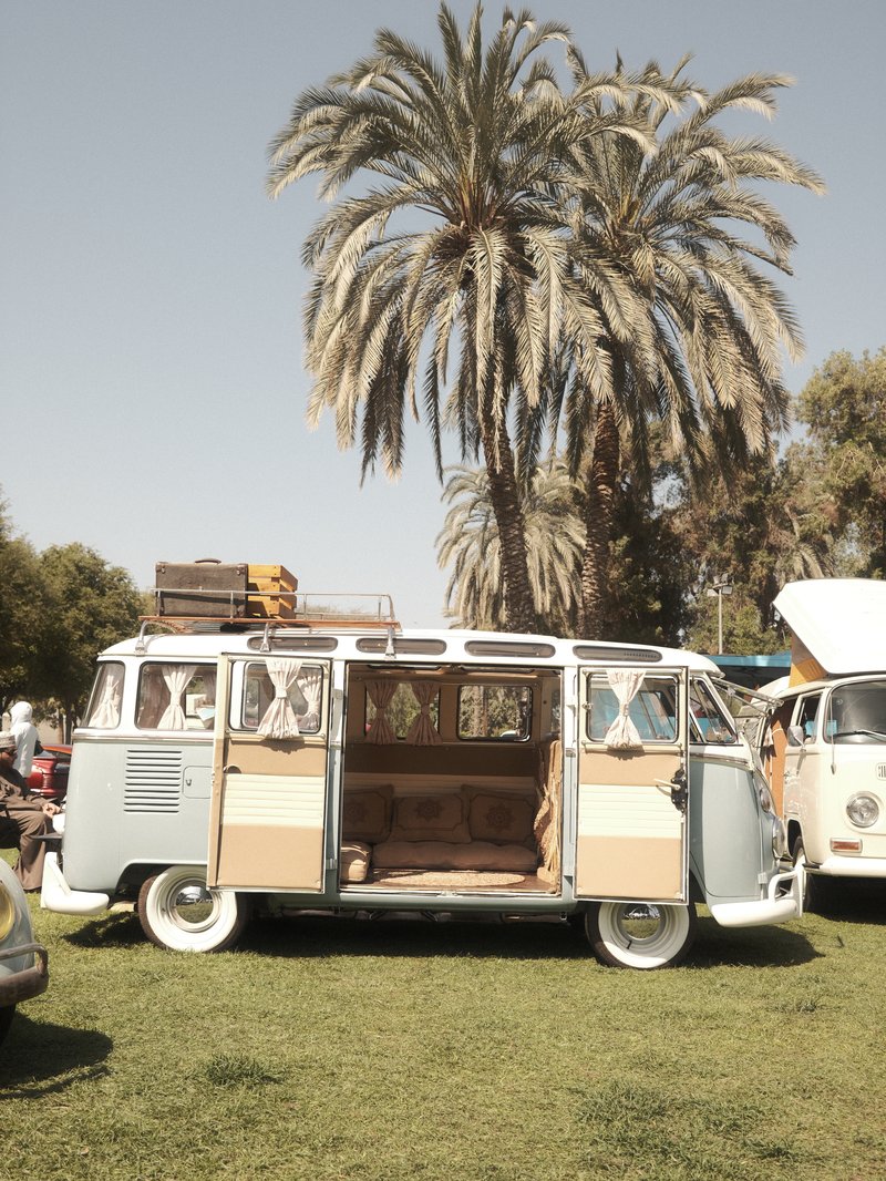 A vintage blue Volkswagen van parked on green grass with palm trees in the background.