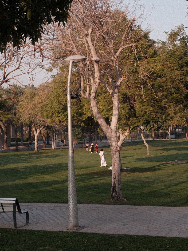 A park scene with trees, a lamp post, and people walking on a grassy area.