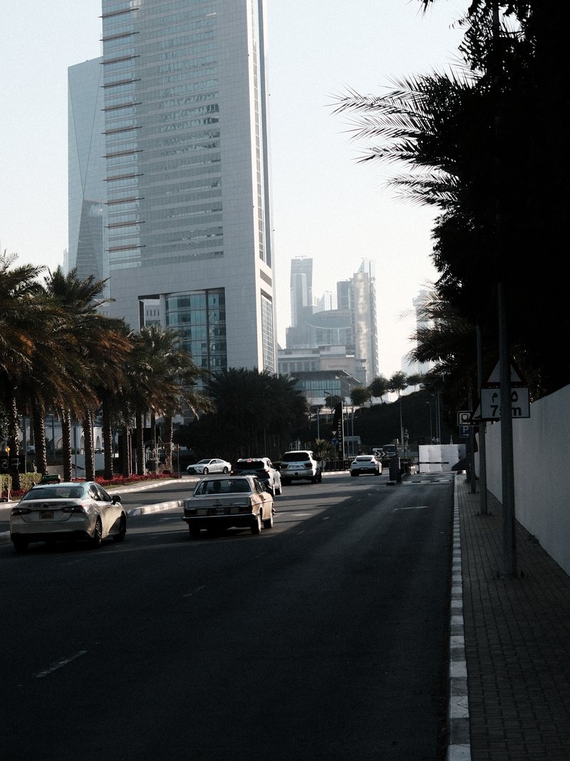 A city street lined with palm trees and modern skyscrapers in the background, with cars on the road.