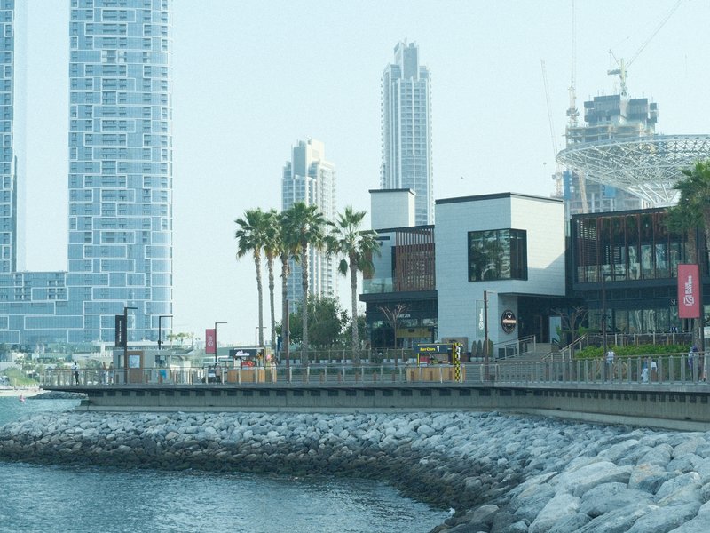 Coastal view of modern buildings and palm trees along a waterfront promenade.