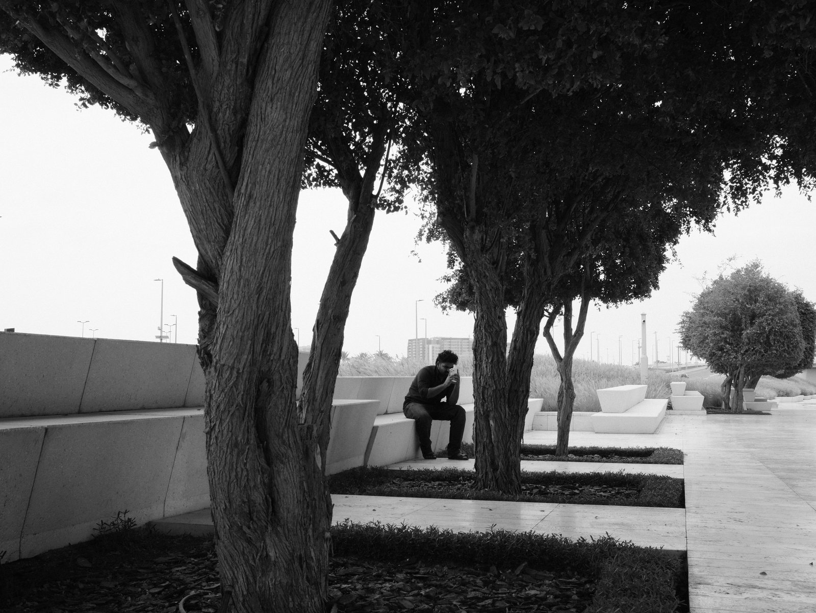 A solitary figure on a bench under trees in a minimalist park, in soft black and white