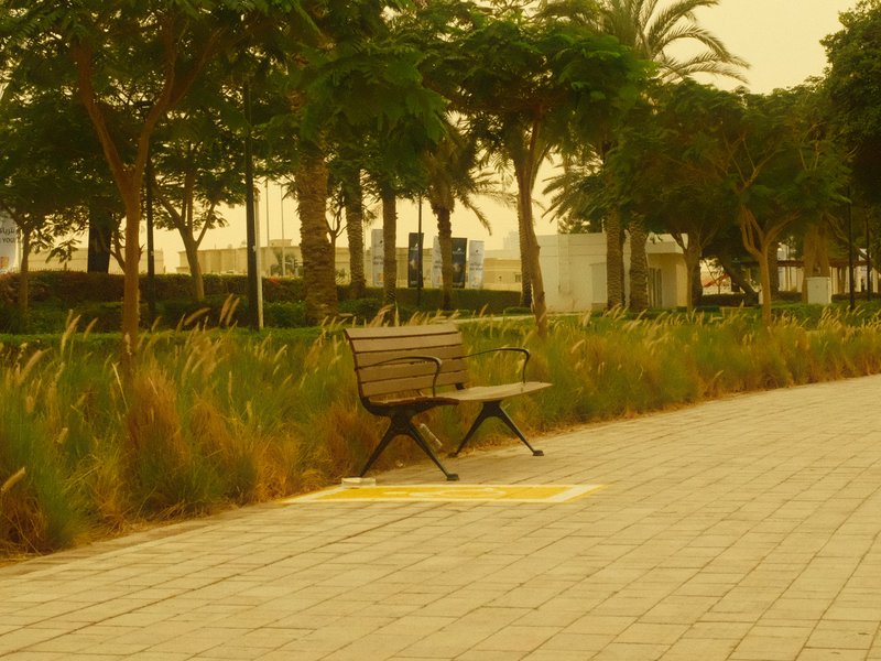A solitary bench beside a pathway lined with tall grass and palm trees under a hazy sky.