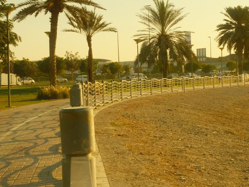 Curved pathway lined with palm trees and a fence under golden hour light.