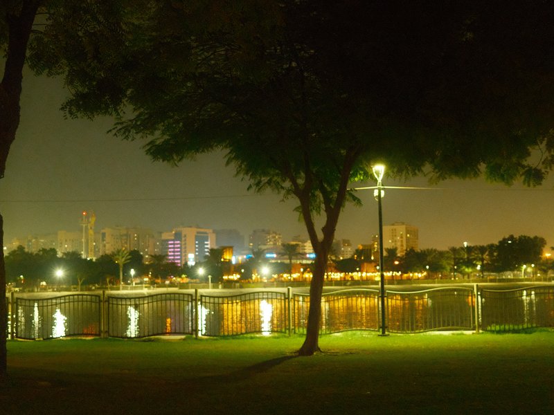 Night view of a park with trees, a lamp post, and city lights reflecting on water.