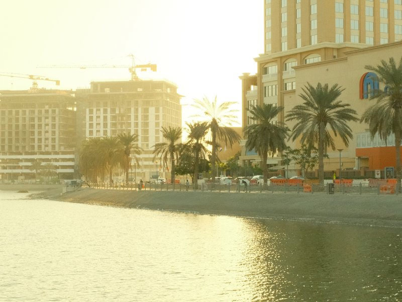 Coastal scene with palm trees and buildings at sunset, reflecting light on water.
