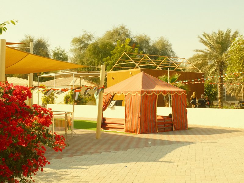 A sunny outdoor scene featuring a brown tent, colorful canopies, and blooming red flowers.