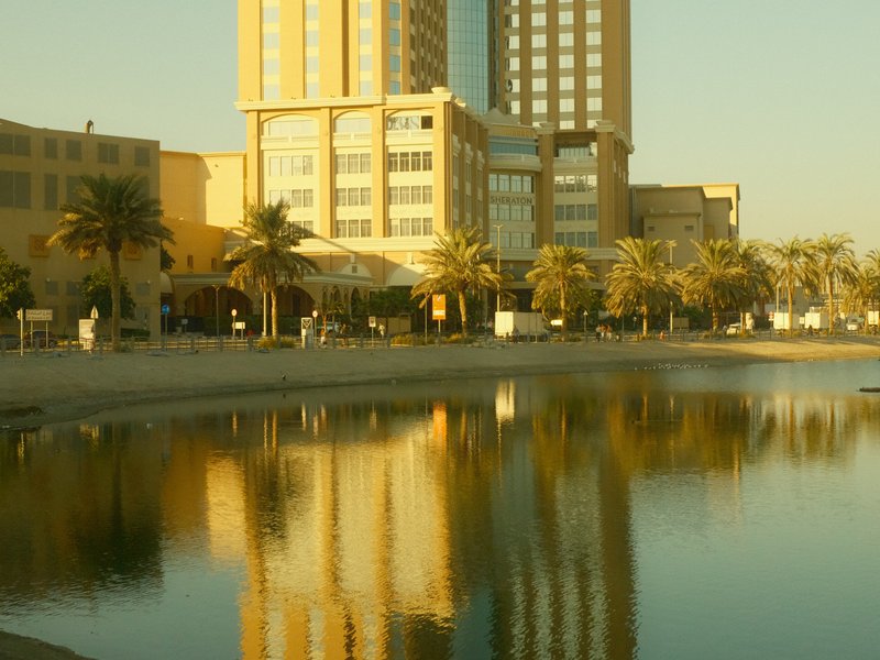 A modern building reflecting in a calm pond surrounded by palm trees under a clear sky.