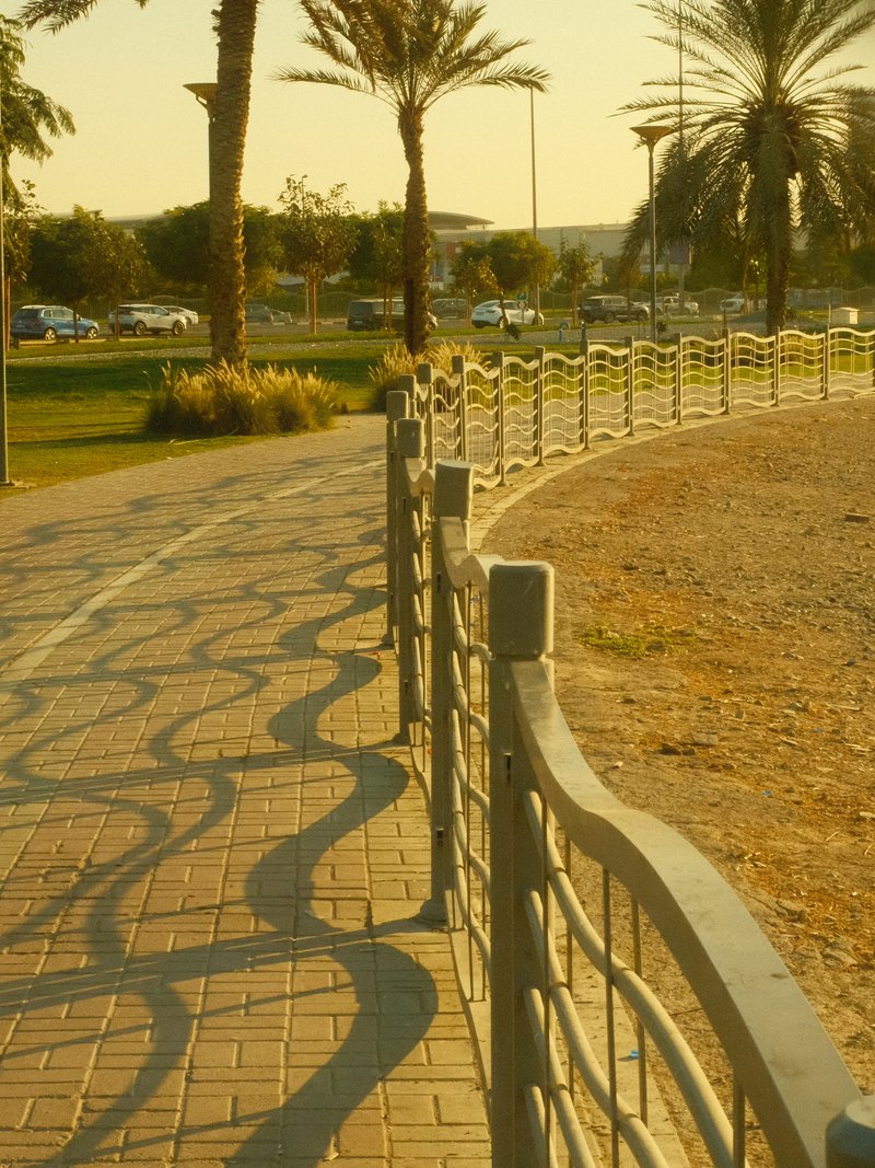 Curved pathway lined with a decorative fence, palm trees in the background under golden sunlight.