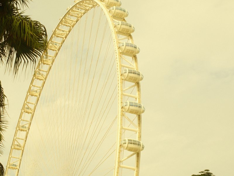 A large ferris wheel against a pale sky, surrounded by palm trees.