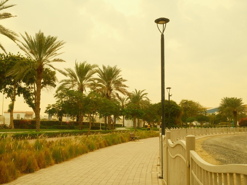 A pathway lined with palm trees and greenery under a hazy sky.