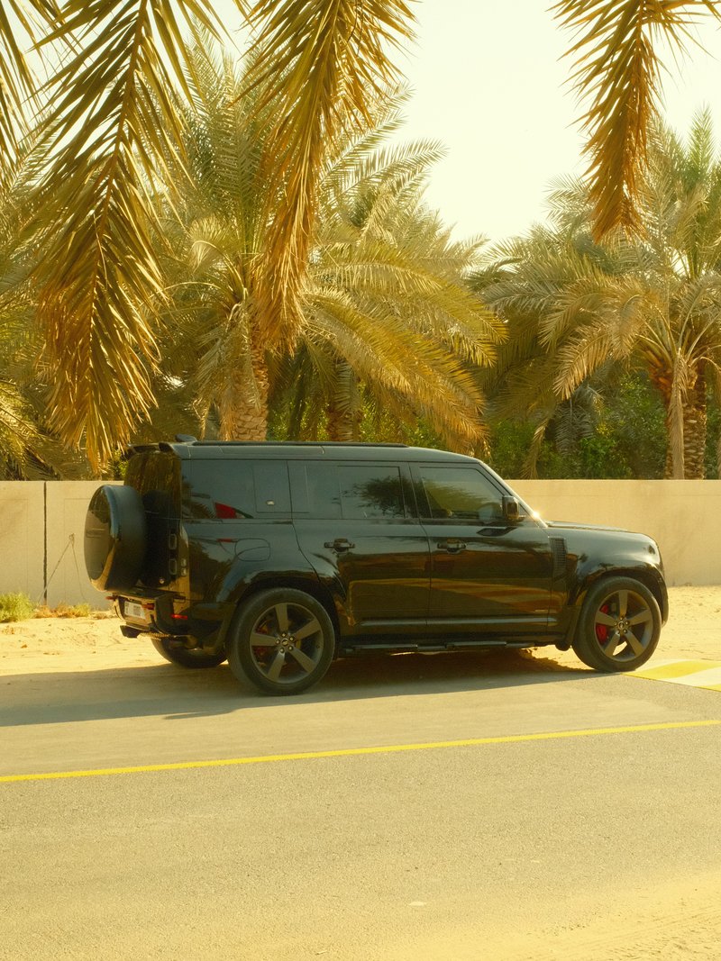 A black SUV parked beside a palm tree-lined road in a warm, sunny environment.