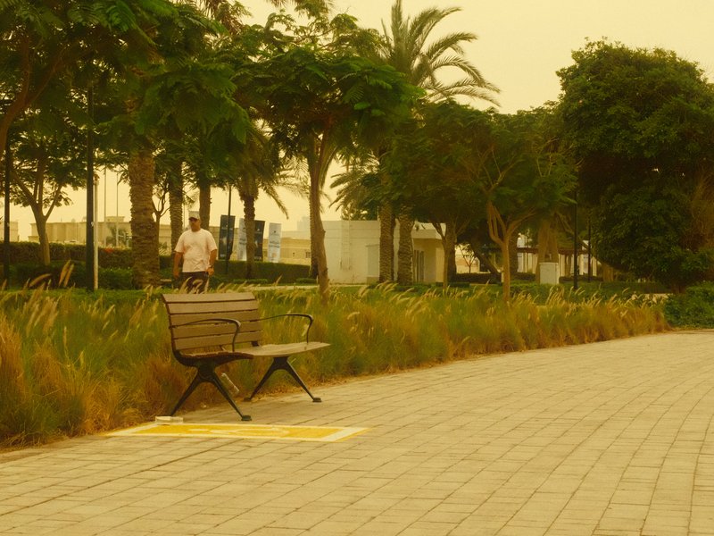 A park scene with a bench, palm trees, and a person walking in a hazy atmosphere.