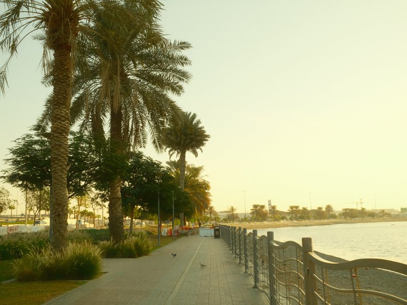 A serene waterfront pathway lined with palm trees during golden hour, with a gentle breeze and soft light.