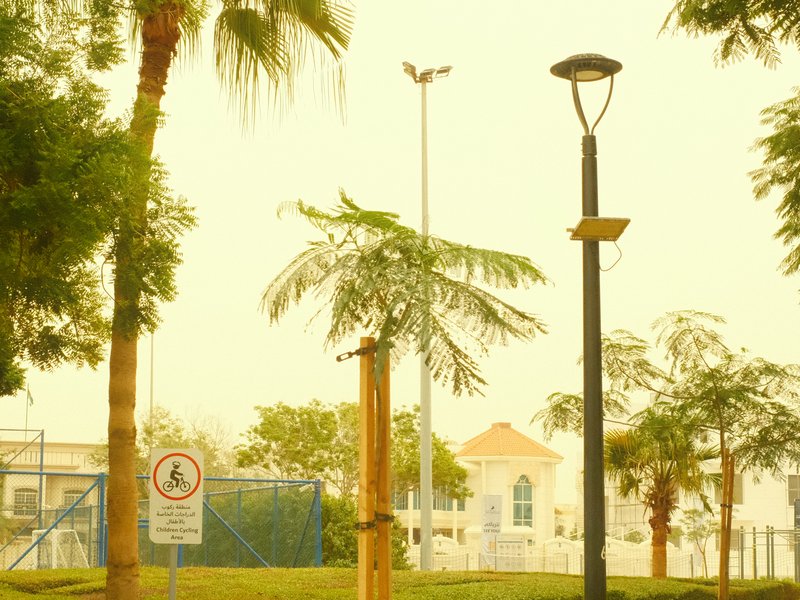 A park scene with palm trees, a street lamp, and a building in the background under a yellowish sky.
