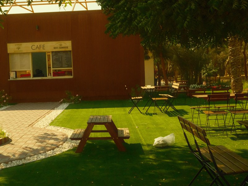 A cozy outdoor cafe with wooden tables and chairs on a grassy area, surrounded by trees.