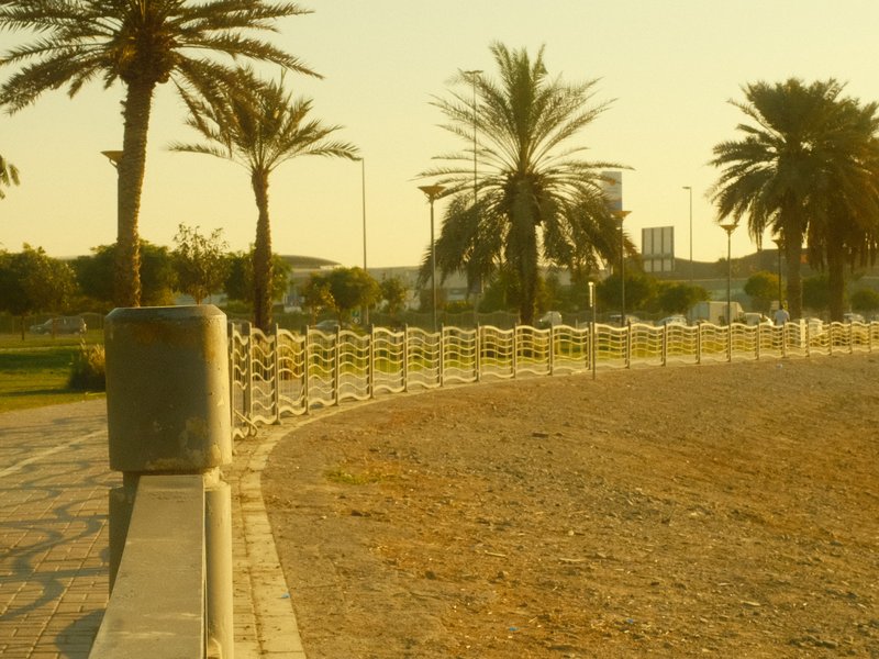 A sunlit pathway lined with palm trees and a decorative fence in a park setting.